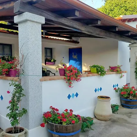 2 Bedroom Stunning In أوليينا